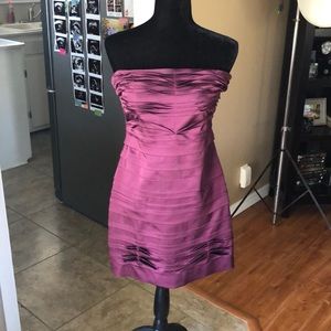Plum BCBG Dress